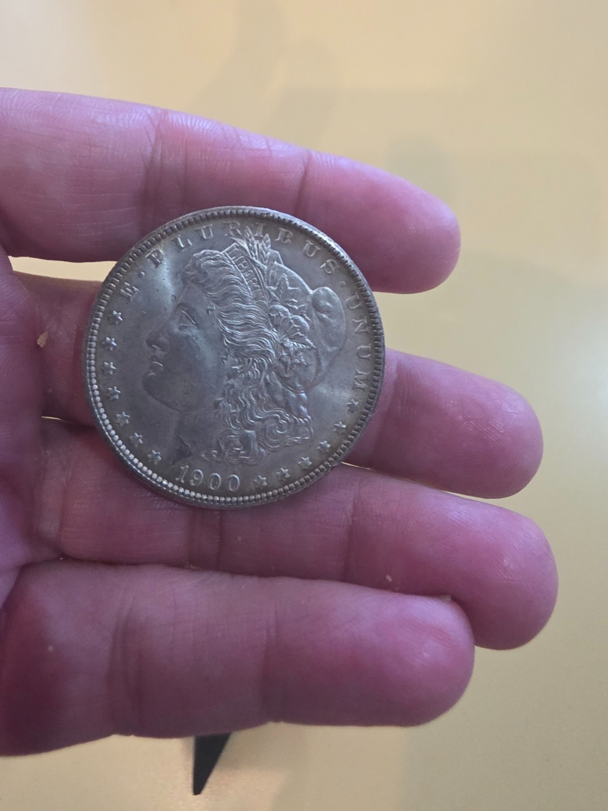 1900 Morgan Silver Dollar with Toning