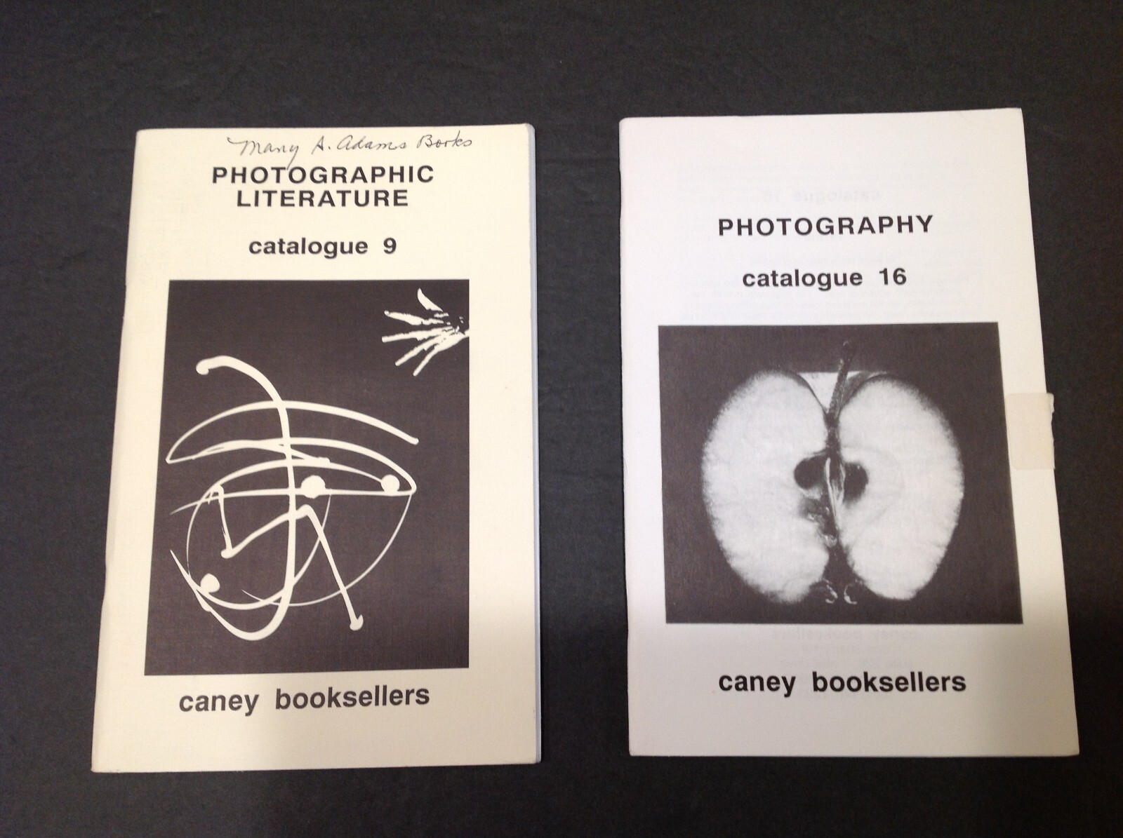 Vintage Rare Photographic Literature & Photography Catalogues #9 & #16 Caney Bks