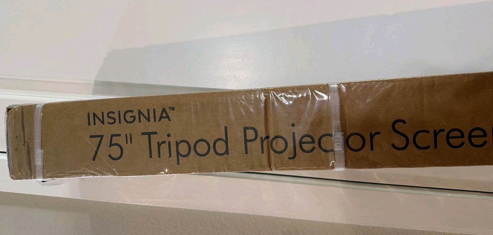 Insignia™ - 75" Tripod Projector Screen - Black/White