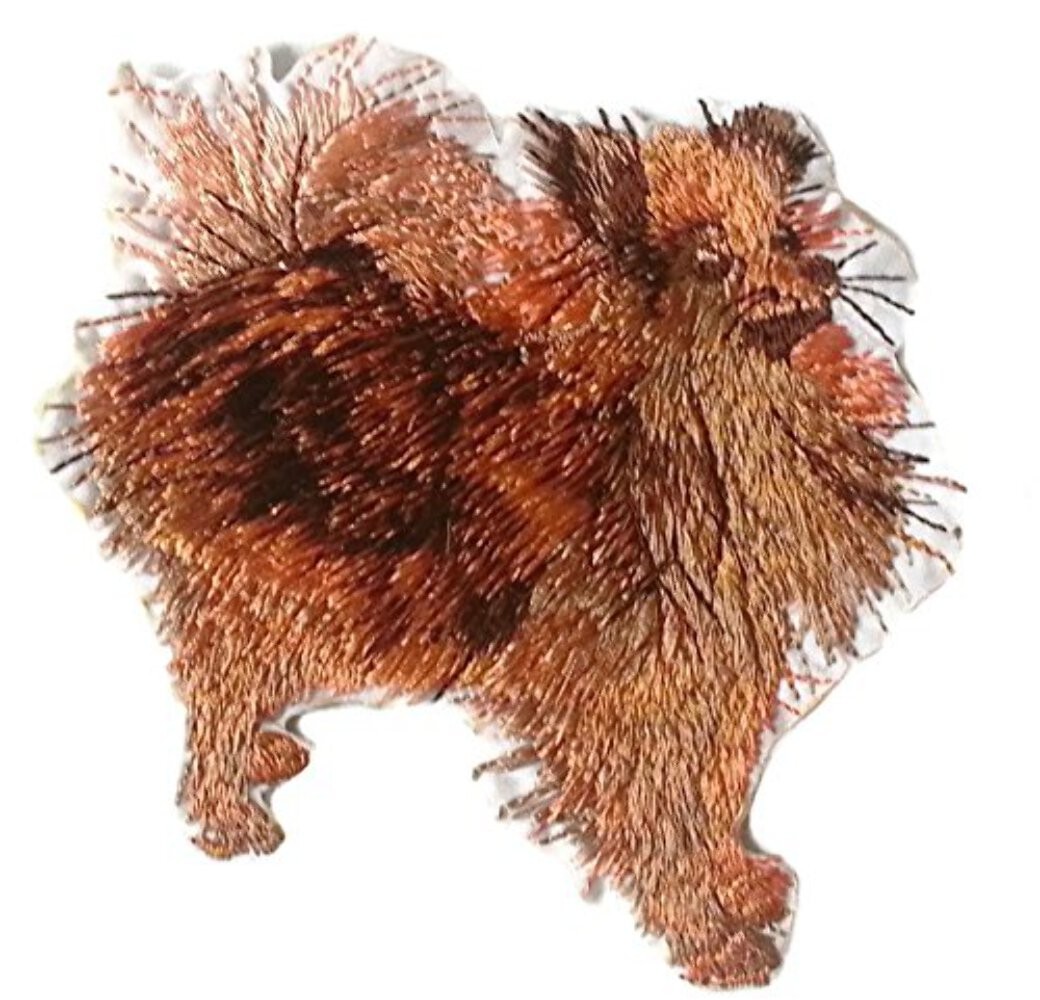 Amazing Custom Dog Portraits [Pomeranian] Embroidered Iron On/Sew Patch [4." x 4