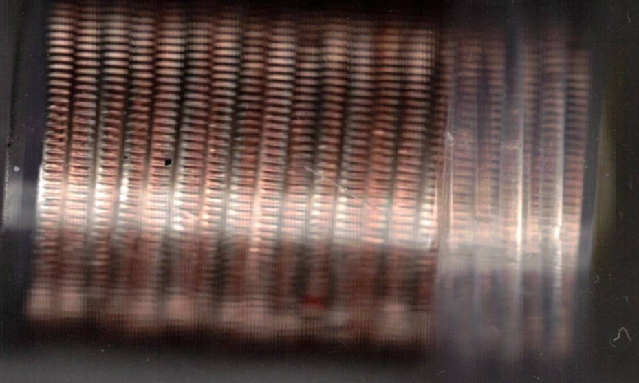 2023-D Copper-Nickel Clad Copper Strike Half Dollar 20 Coin Roll!