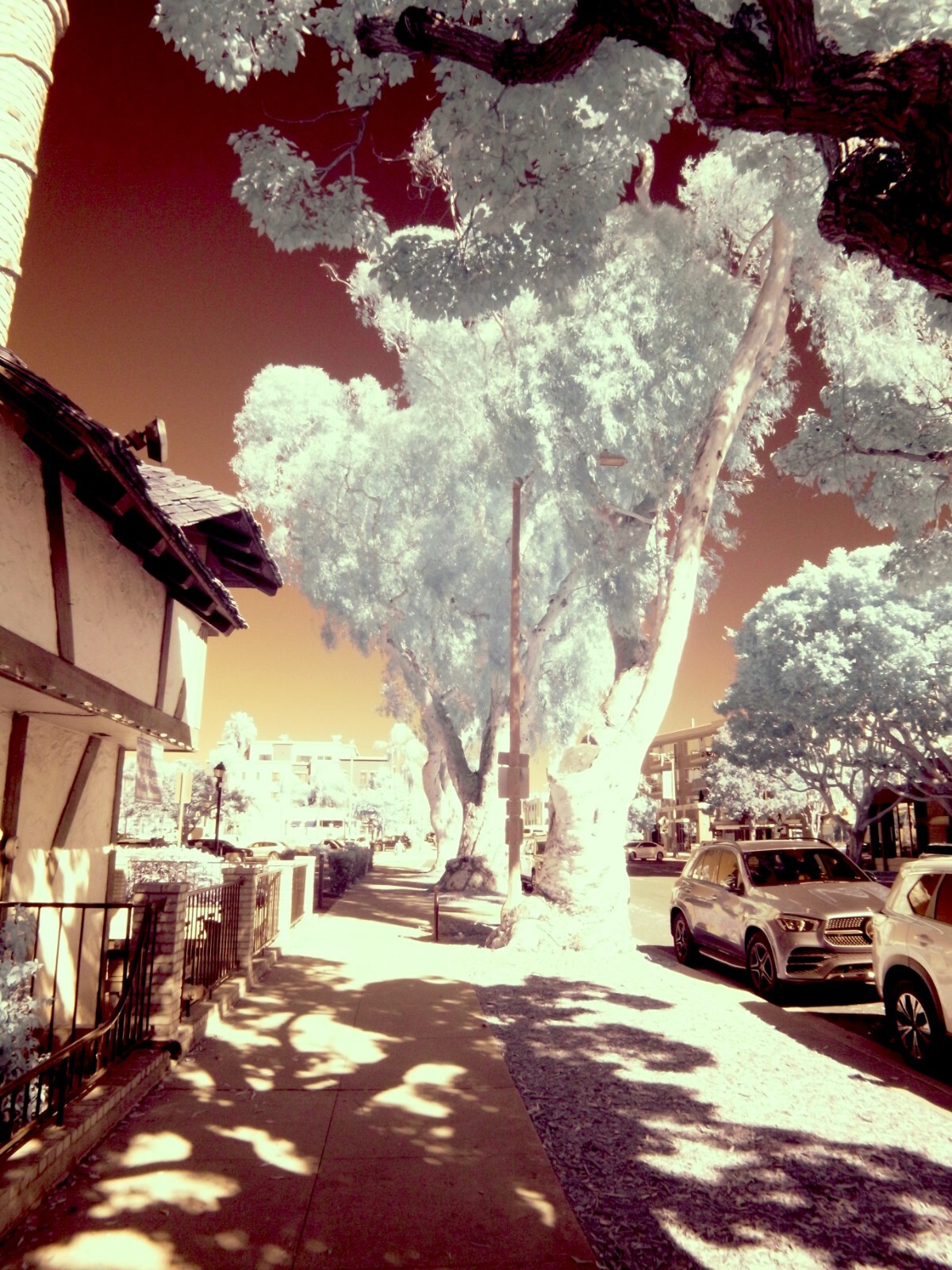 Infrared converted Camera Nikon D70 Full Spectrum
