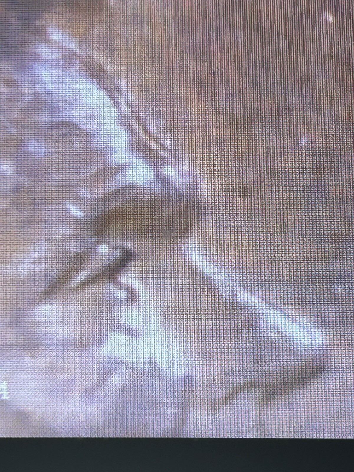 1942 D Wheat Penny DDO FS