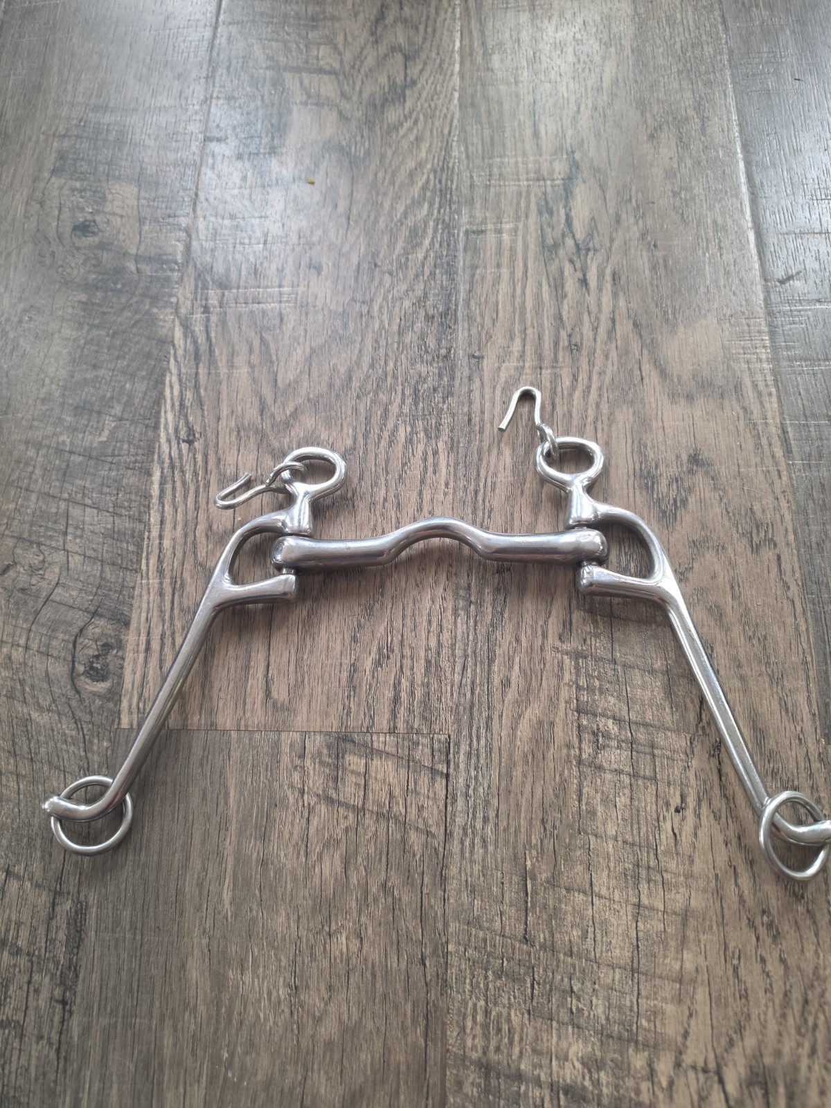 Horse Bit 5.5