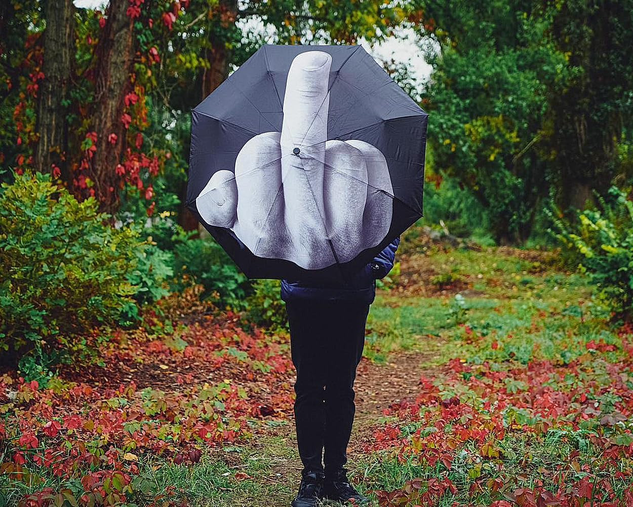 DS. DISTINCTIVE STYLE Middle Finger Umbrella Funny Folding Creative