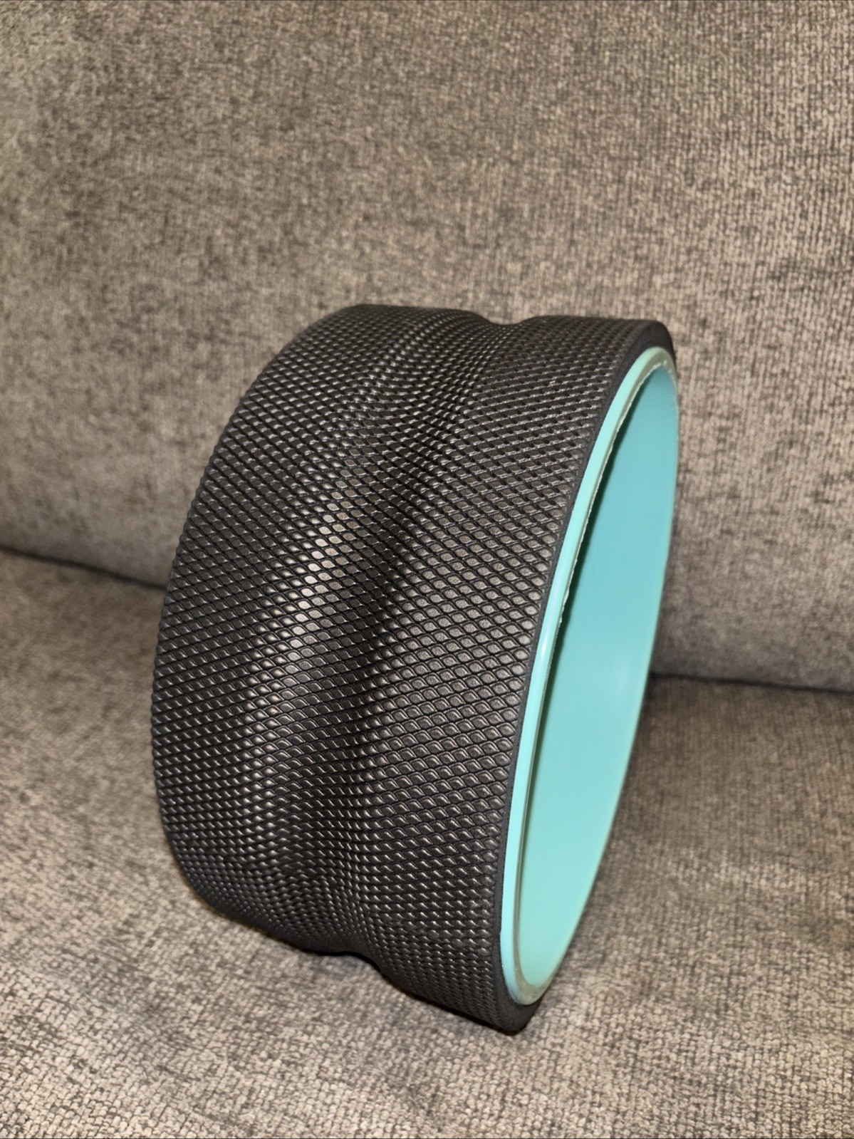 Chirp 10-inch Wheel with Padded Back Roller USED READ