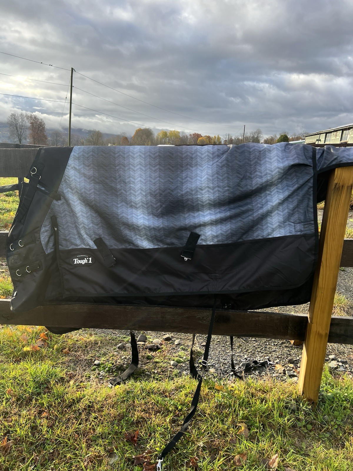 Medium Weight Tough 1 Horse Blanket Size 69" Blue