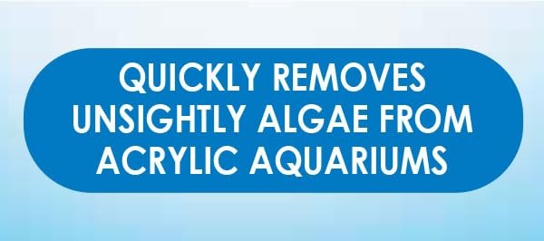 API Algae Pad for Acrylic Aquariums Durable Scrubbing Pad 1 Count Scrub Cleaner