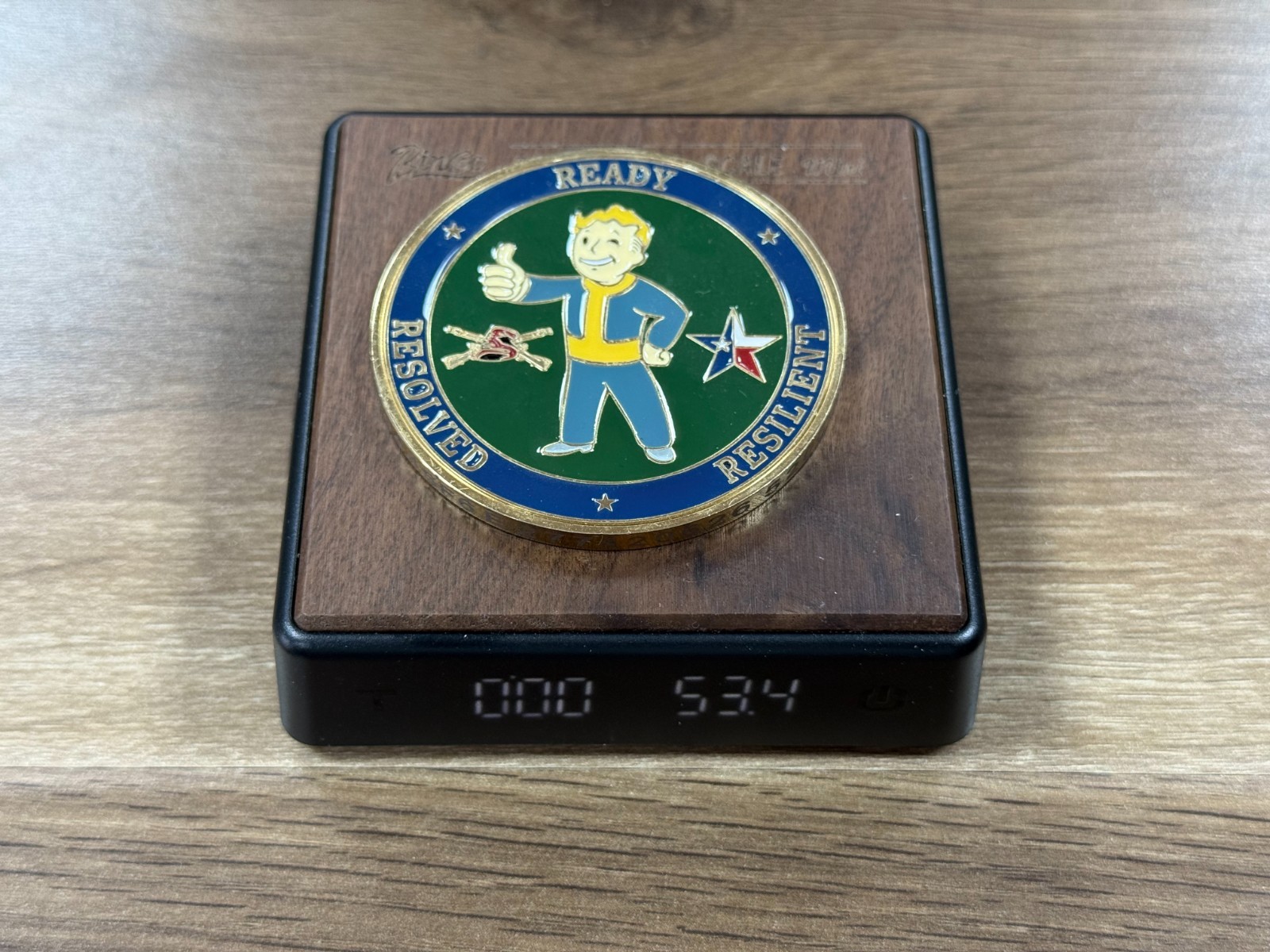 Fallout Vault Boy Critical Infrastructure Challenge Coin 1#16