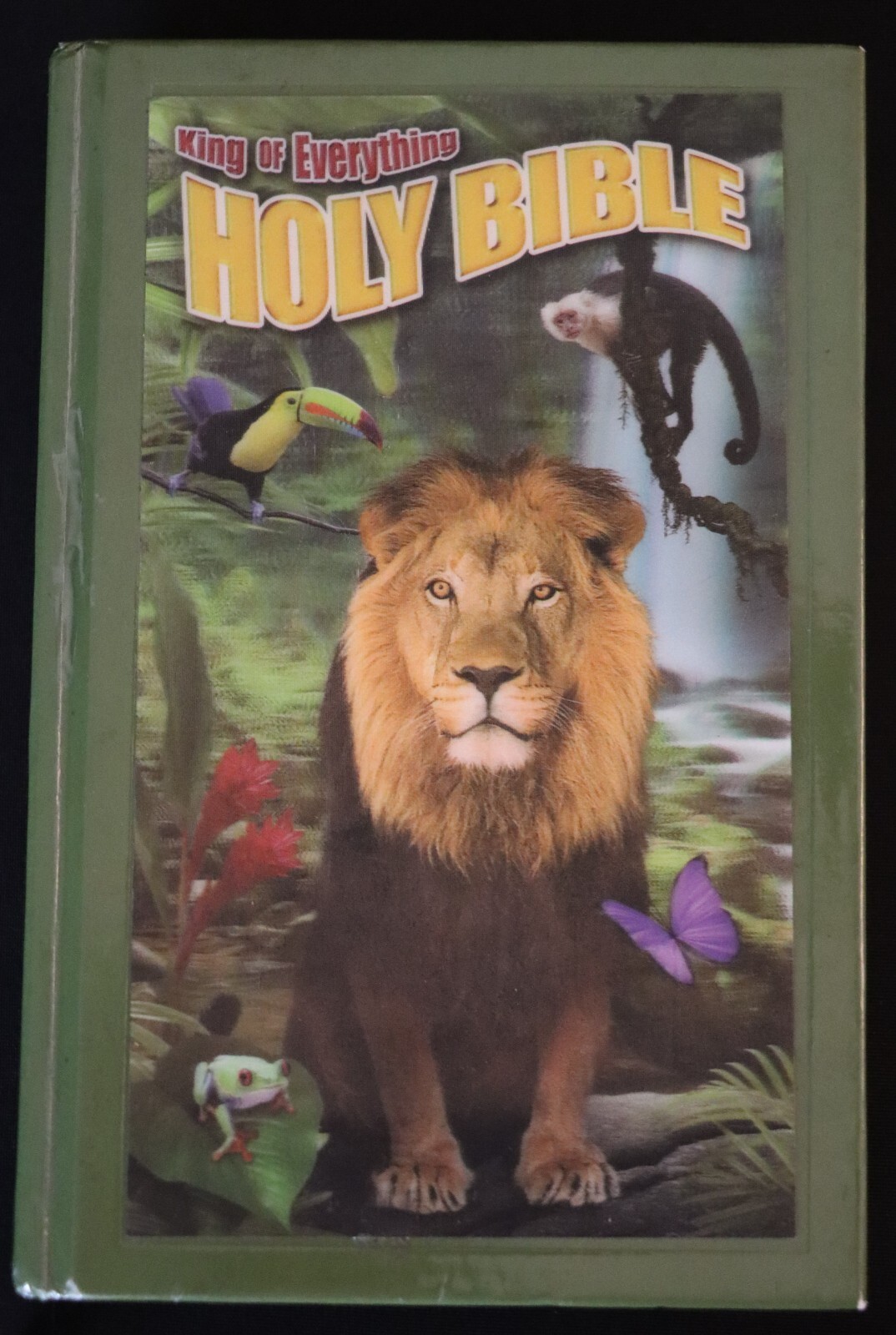 CHILDRENS BIBLE KIDS ILLUSTRATED BIBLE HOLOGRAM COVER KING EVERYTHING