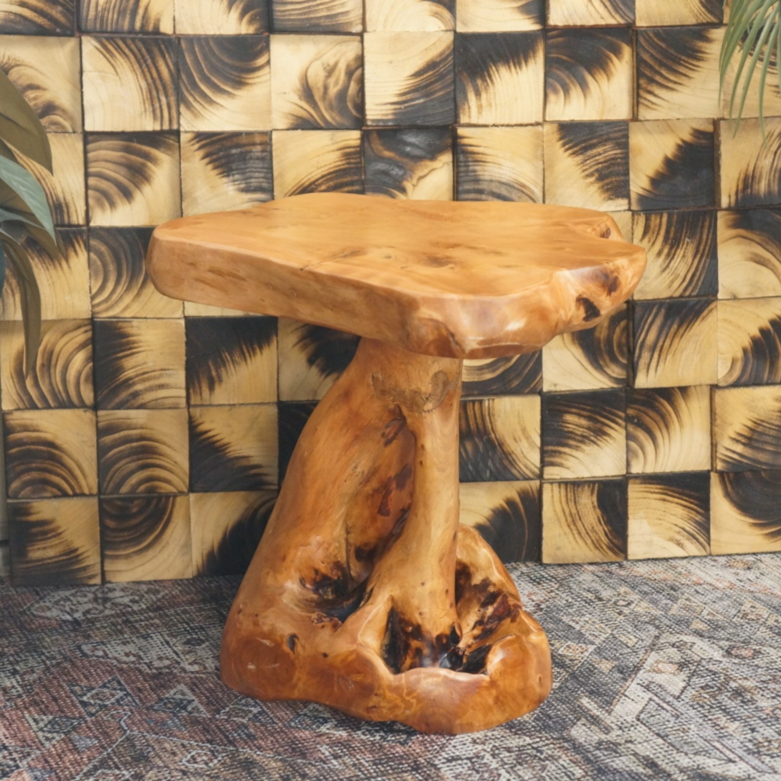 Rustic Cedar Root Plant Stand & Mushroom Stool Natural Shaped Side Table 13.5"H