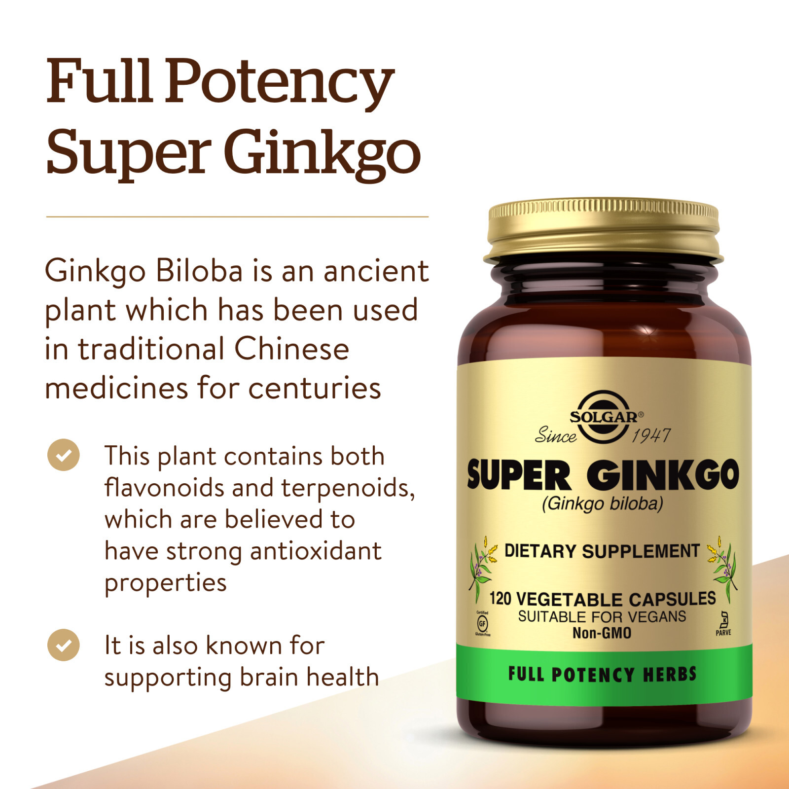 Solgar Super Ginkgo 120 Vegetable Capsules