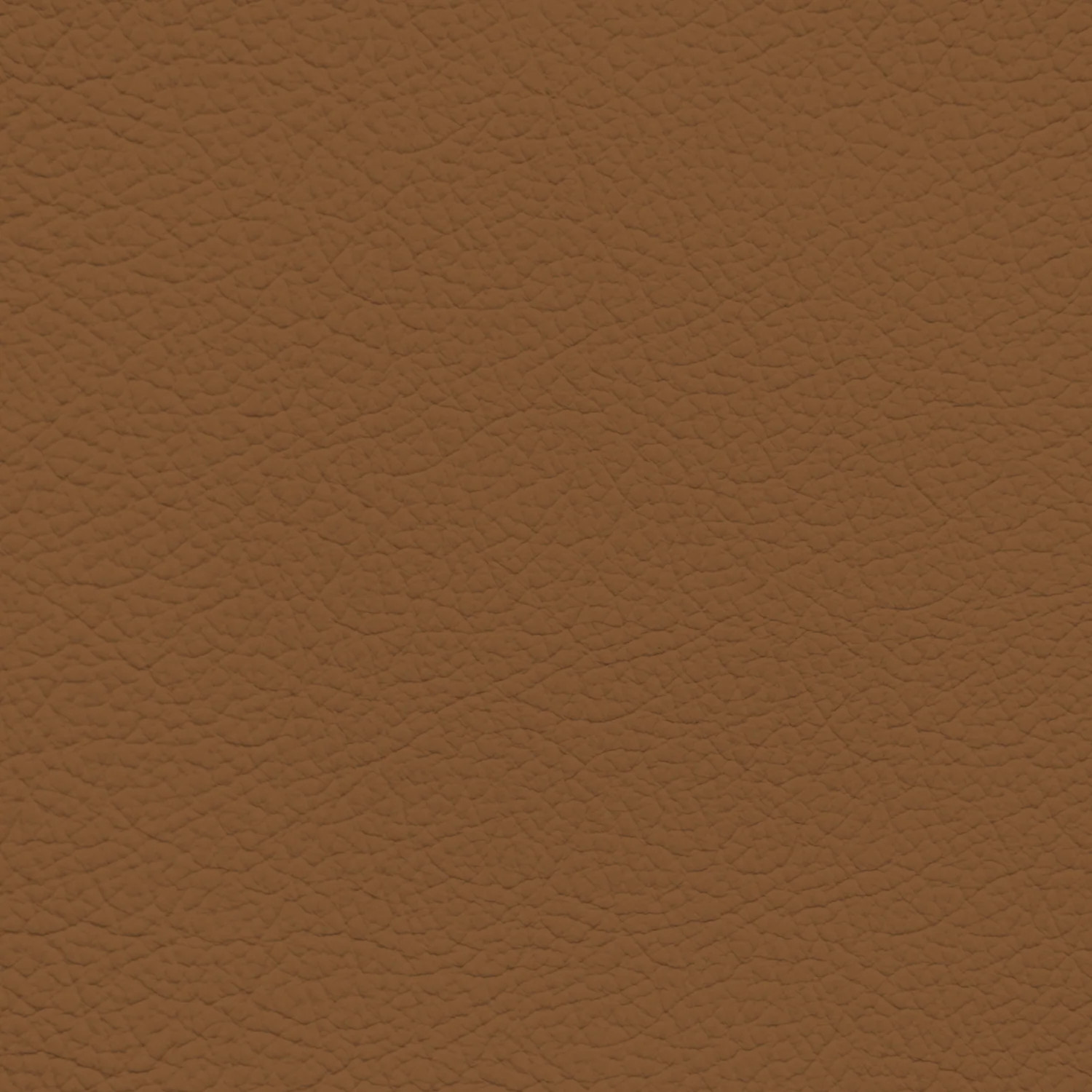 Audi Okapi Brown Leather Dye