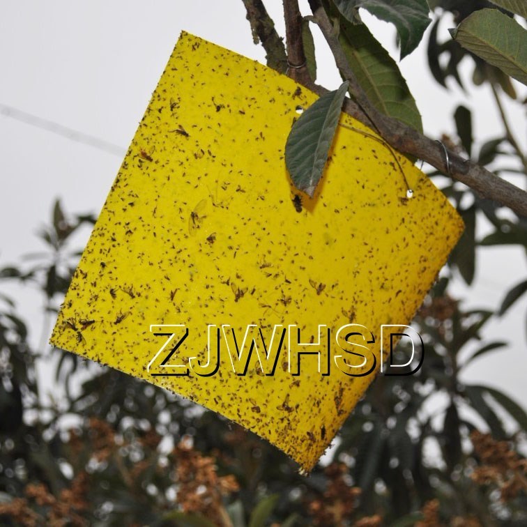 20pcs Yellow Sticky Insect Aphid Whitefly Thrip Gnat Fruitfly Leafminer Trap