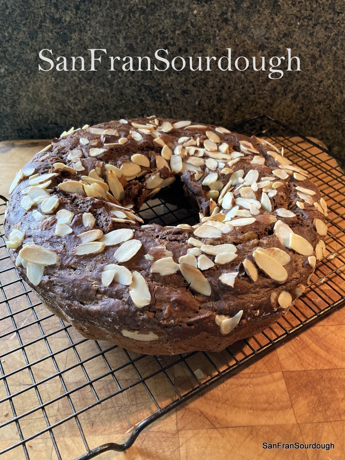 Active Dried Sourdough Starter San Francisco Yeast Bacteria baking bread