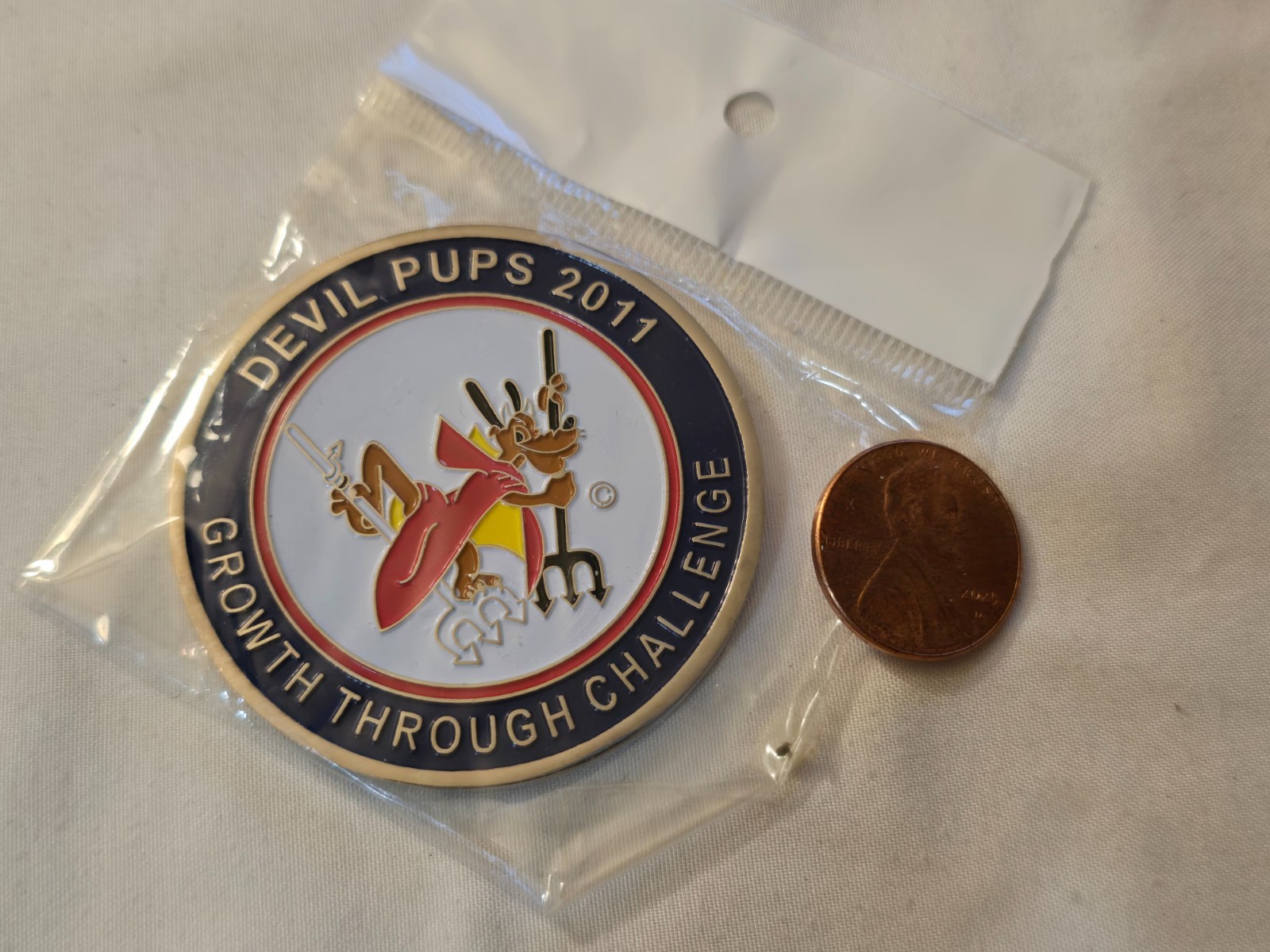 US Marine Corps Camp Pendleton 2011 Devil Pups Challenge Coin / USMC NEW