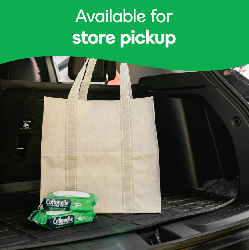 Gentle Plus Flushable Wet Wipes, 4 Flip-Top Packs
