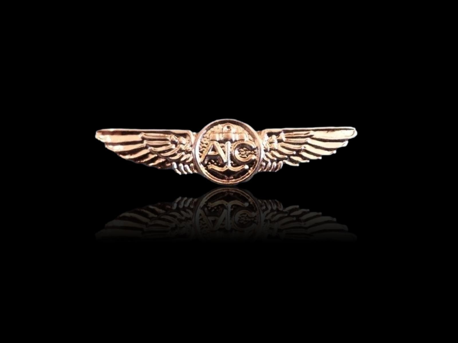 U.S MILITARY NAVY MINIATURE GOLD AIR CREW WINGS 1 1/8" INCHES WIDE HAT PIN LAPEL