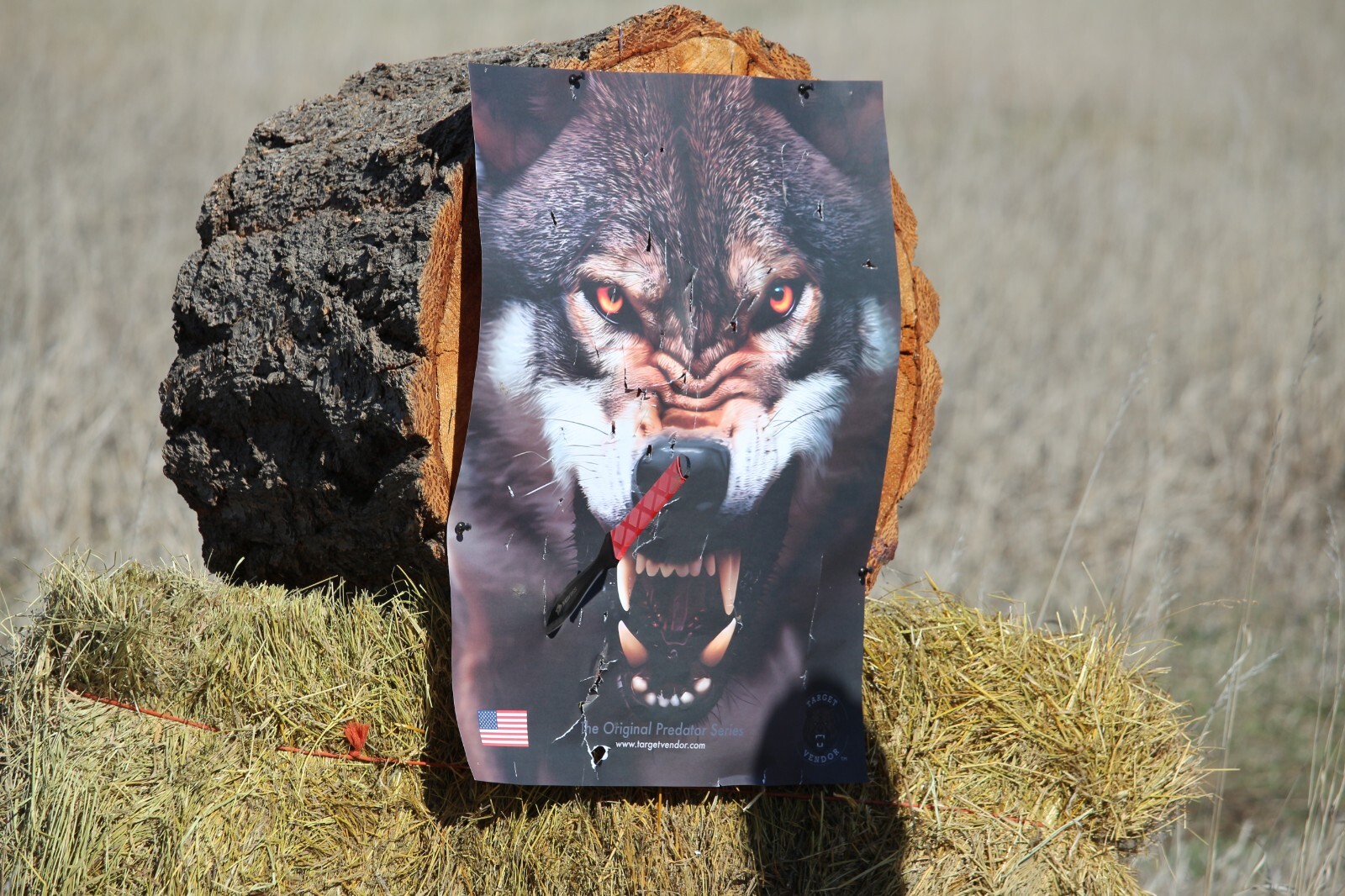Paper Targets for Handgun Practice High Quality Wolf Target, shooting practice