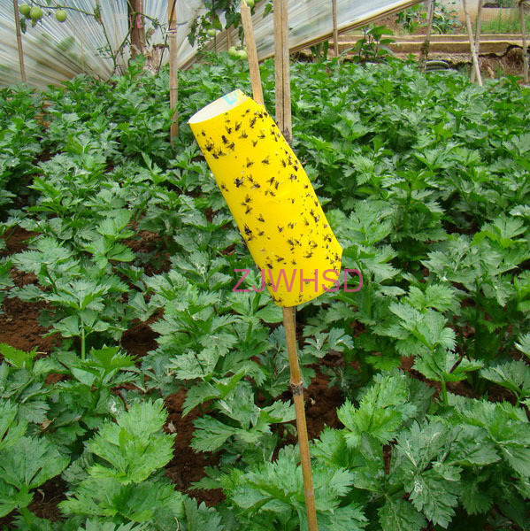 20pcs Yellow Sticky Insect Aphid Whitefly Thrip Gnat Fruitfly Leafminer Trap
