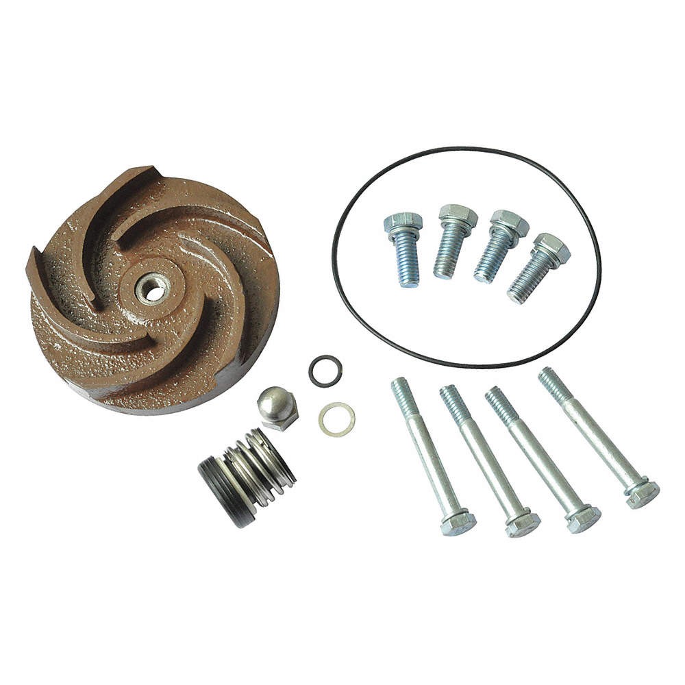 DAYTON 21TG41 Pump Repair Kit,For 2ZWP5A,2ZWP6A 21TG41