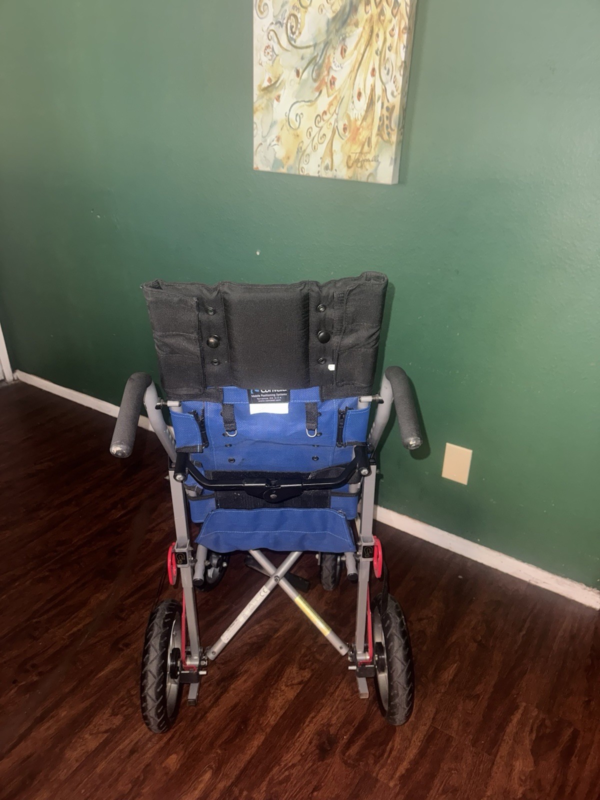 Convaid Eazy Rider Size 14 Special Needs Stroller