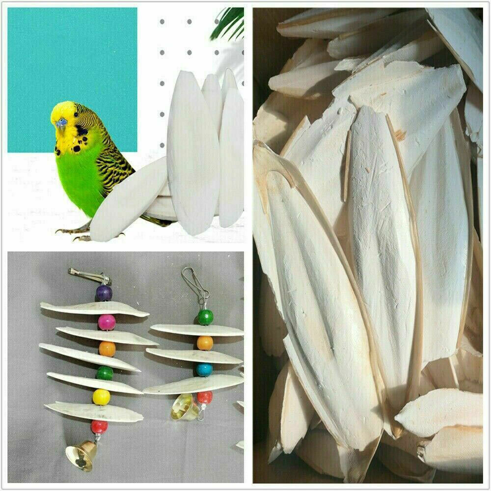 10-20Pc Cuttlebone for Birds Parrot Chewing Cuttle bone for Sharp Beaks 2.4-3.1"