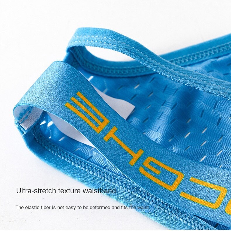 Hollow Out Bikini Briefs for Men Mesh Sexy Underwear Ice Silk Men's Gay Panties