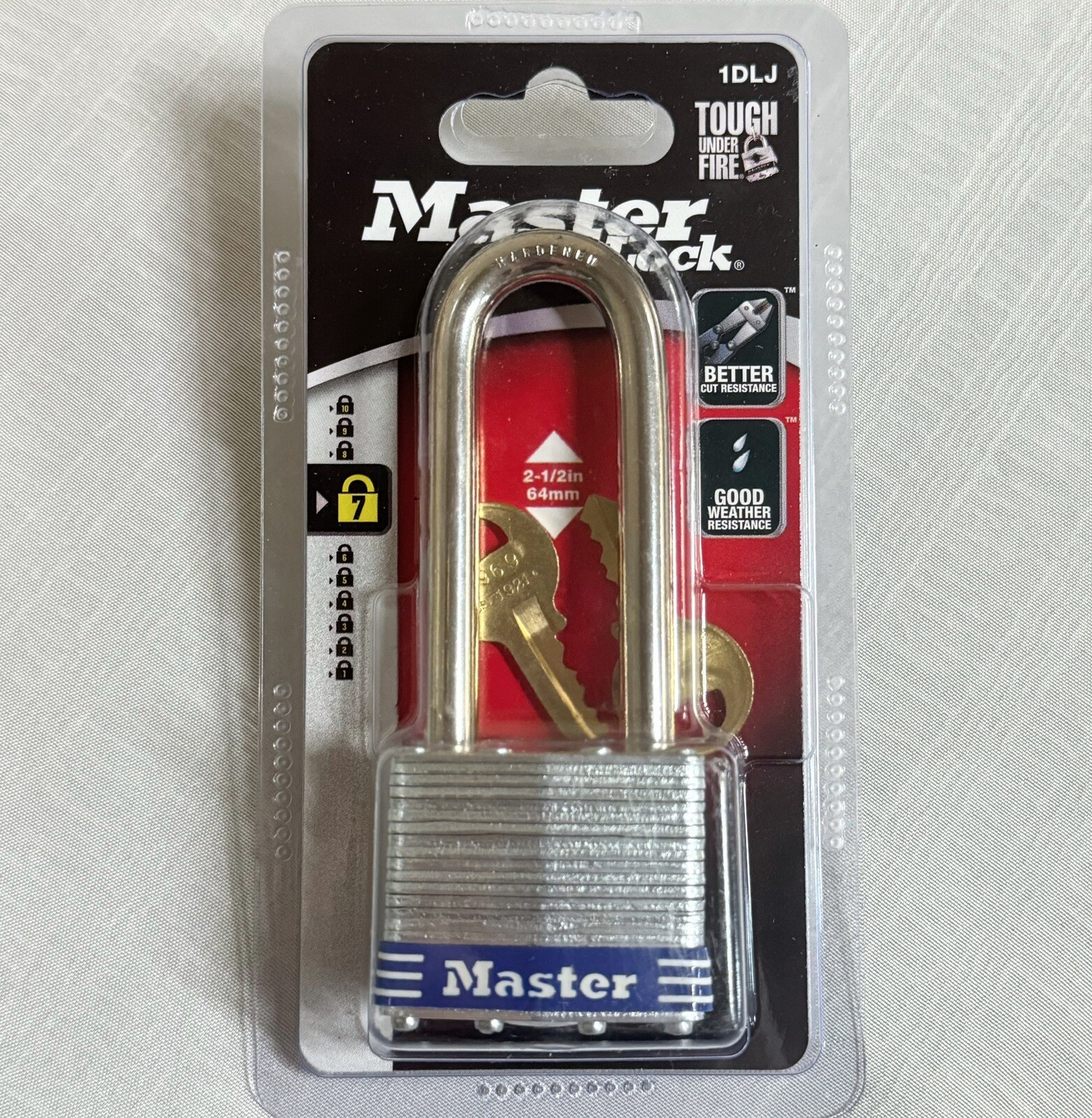Master Lock Padlock 1 Lock 2 Keys NEW 1DLJ P55391 071649305757