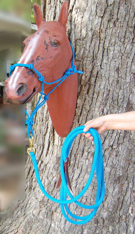 14' LEAD ROPE WITH BULL SNAP & STIFF 4-KNOT HALTER FOR ANDERSON TRAINING
