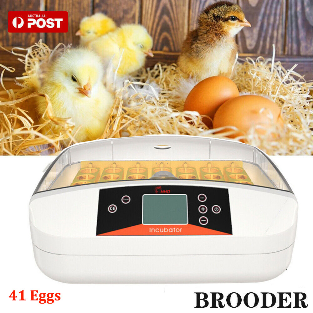 Automatic 41 Egg Incubator Digital Led Auto Turning Chicken Egg Poultry 220V 80W