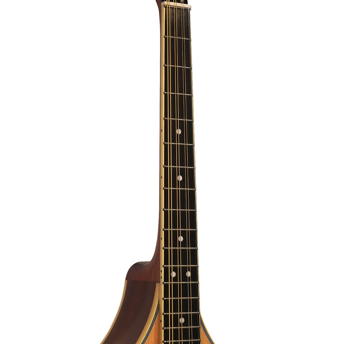 GOLD TONE OCTAVE MANDOLIN W/ HARD CASE