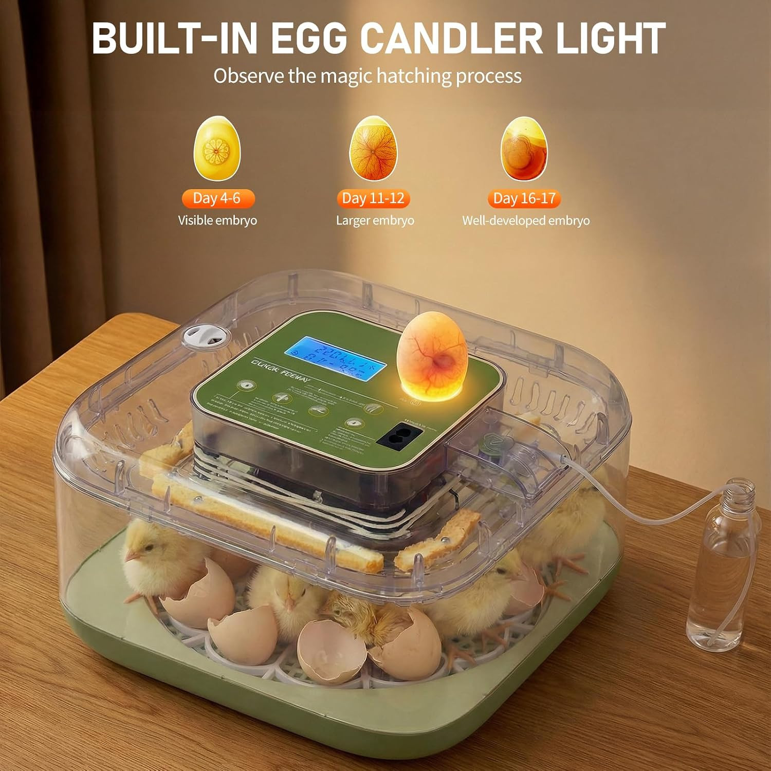 Incubators for Hatching Eggs, 12 Egg Incubator with Automatic Egg Turning, Tempe