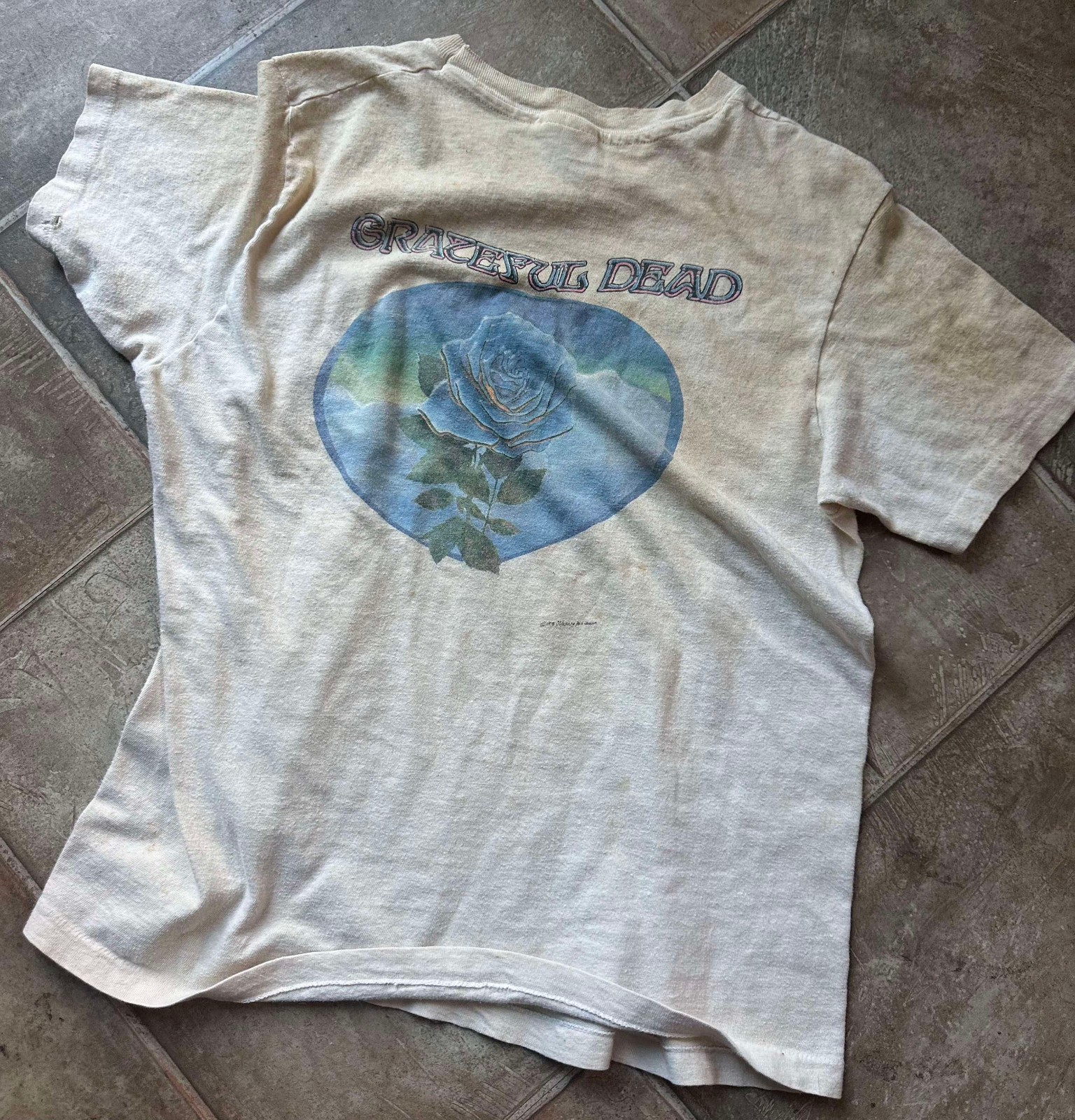 Rare authentic Grateful Dead Blue Rose