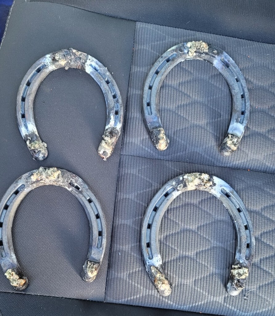 non skid steel horseshoes