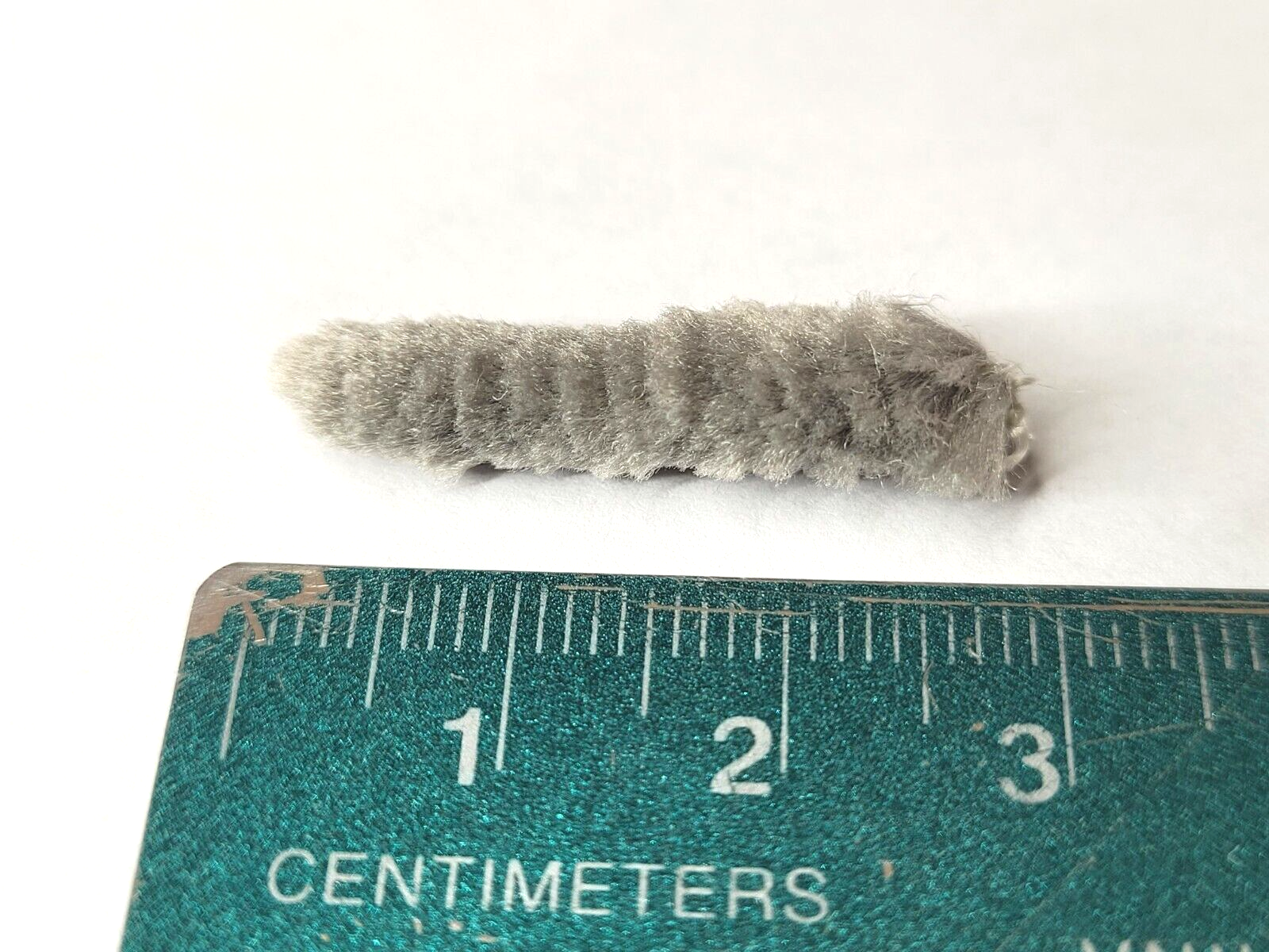MOP FLY BODY MATERIAL - GRAY - Medium - Fly Tying Materials - LARVA - JIG - NEW!