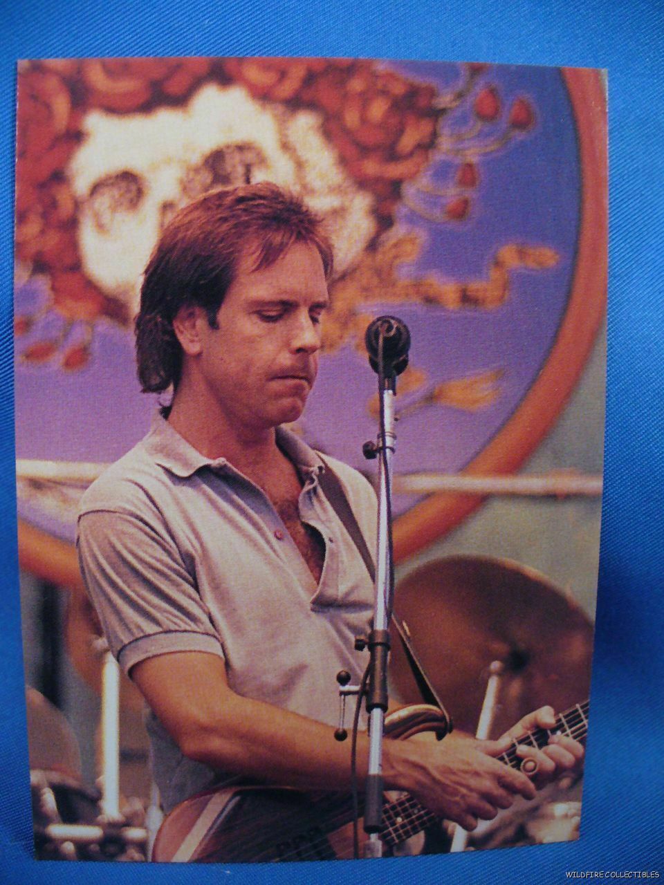 GRATEFUL DEAD RATDOG BOB WEIR FURTHUR PROMO CARD Collector Skull and roses art