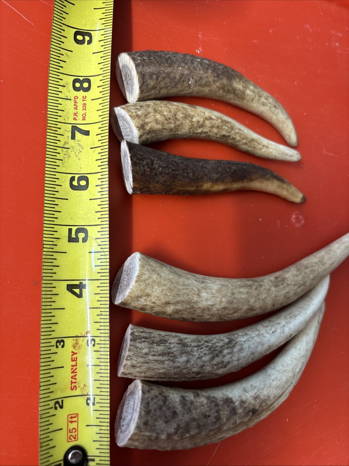 Lot-E128 Elk Antler Tips for Knife Material Handle Material