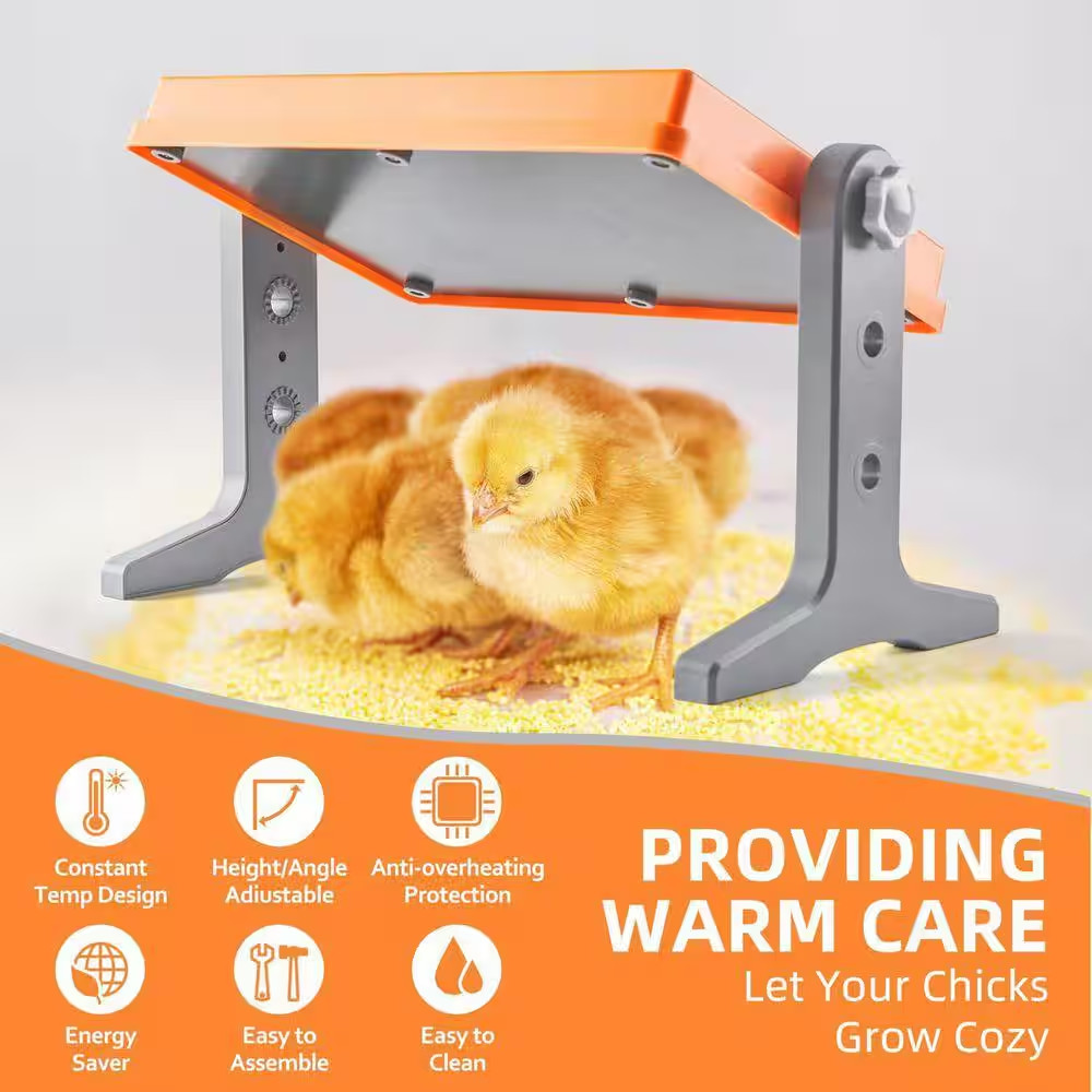 Brooder Heater Adjustable Temperature Chick Warmer Heating Plate 12 X 8 Adjustab