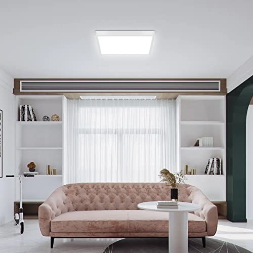 12 inch Dimmable LED Flush Mount Ceiling Light with Remote, 1 Pack (Dimmable)