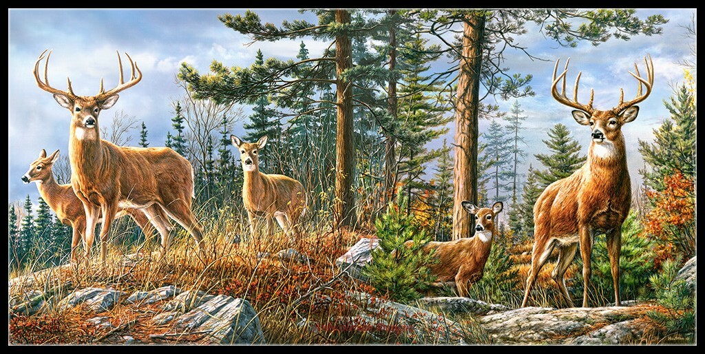 Royal Deer Family - Chart Counted Cross Stitch Patterns Needlework DIY DMC