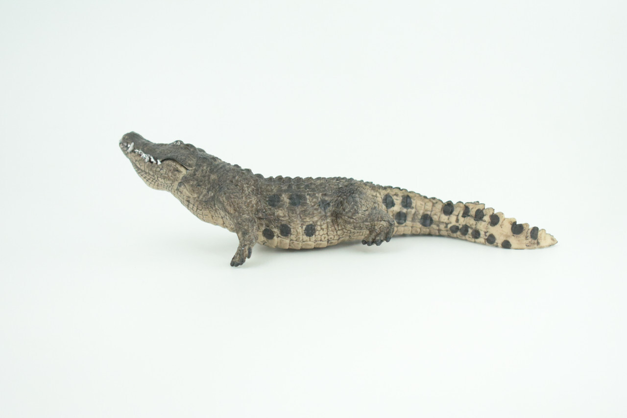 Alligator Toy, Crocodile, Movable Jaws, Realistic Rubber Model, 7" CH817 BB189