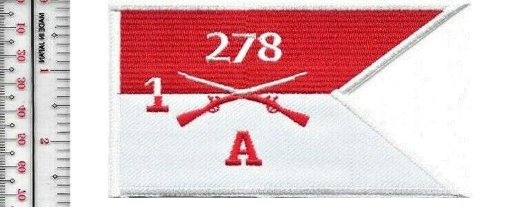 US Army 278th Armored Cavalry Regiment 1st Battalion A Co Tennessee NO TARIFF