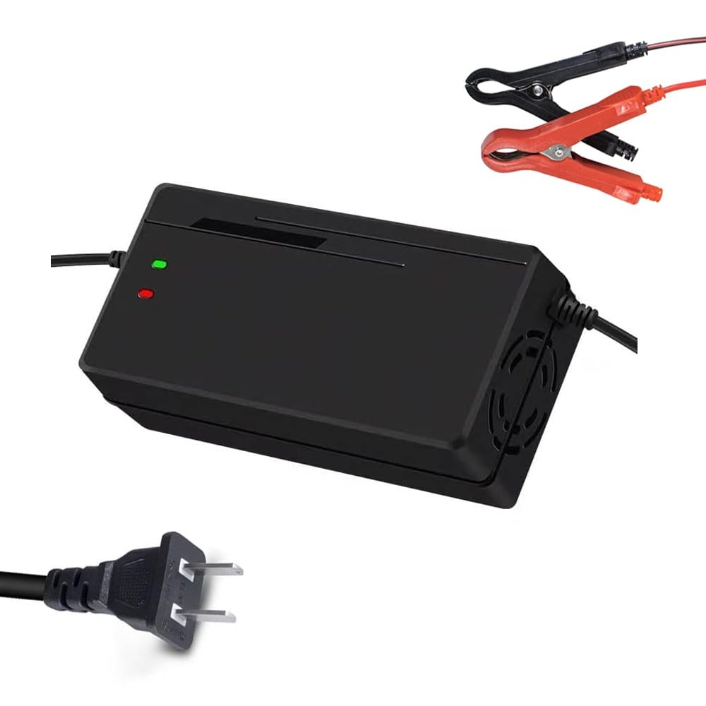 DUDHOIK 48V/58.4V 10A Lifepo4 Charger 110V 120V with 58.4V 10A, Green,Red