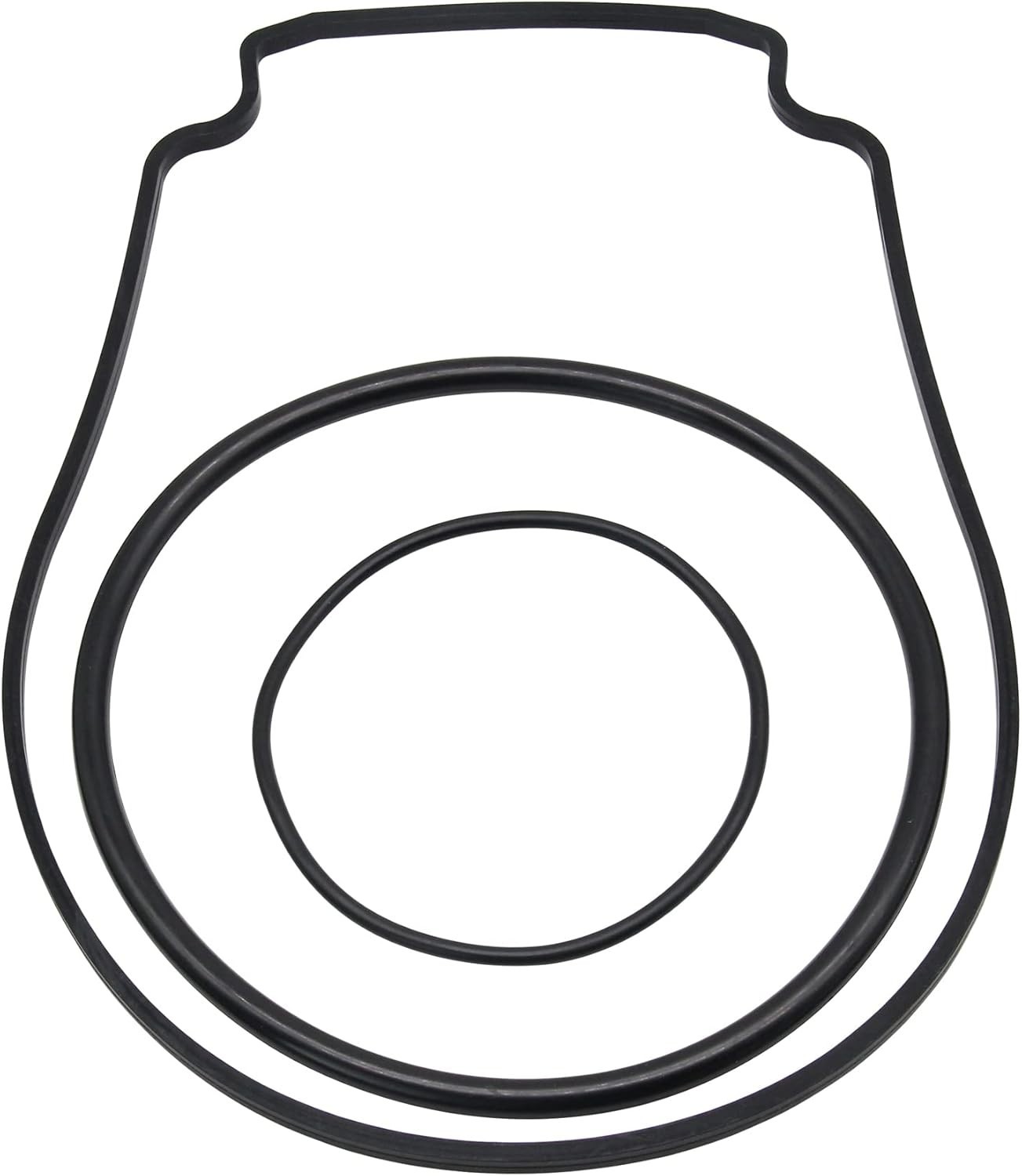 Comprehensive Seal Replacement Kit for Pentair WhisperFlo - Built Post-2008