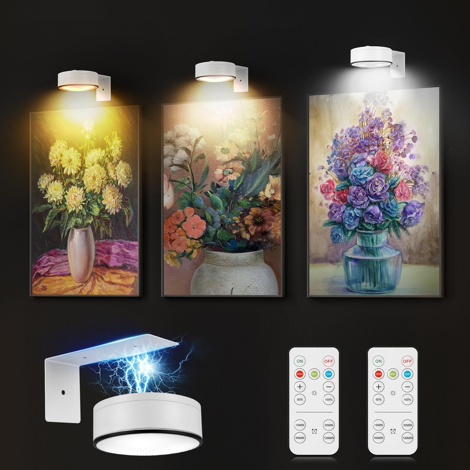 3Pcs Battery Picture Lights, Remote Painting Light for Art Disaplay,Magnetic ...