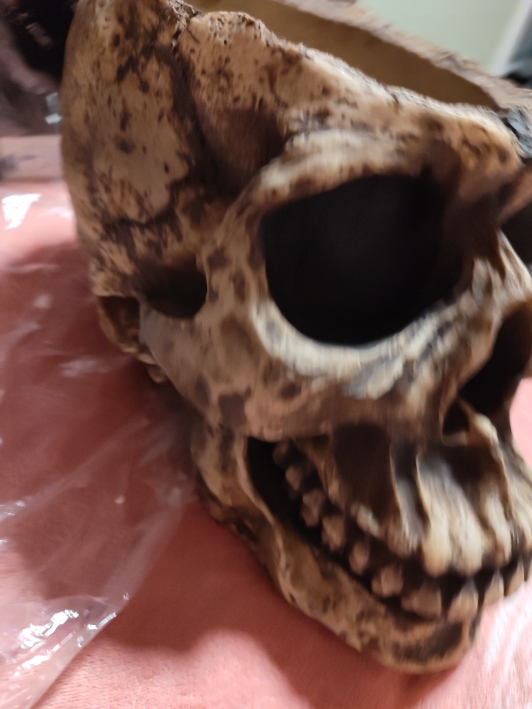 WORLD OF WONDER LARGE SKULL PLANTER