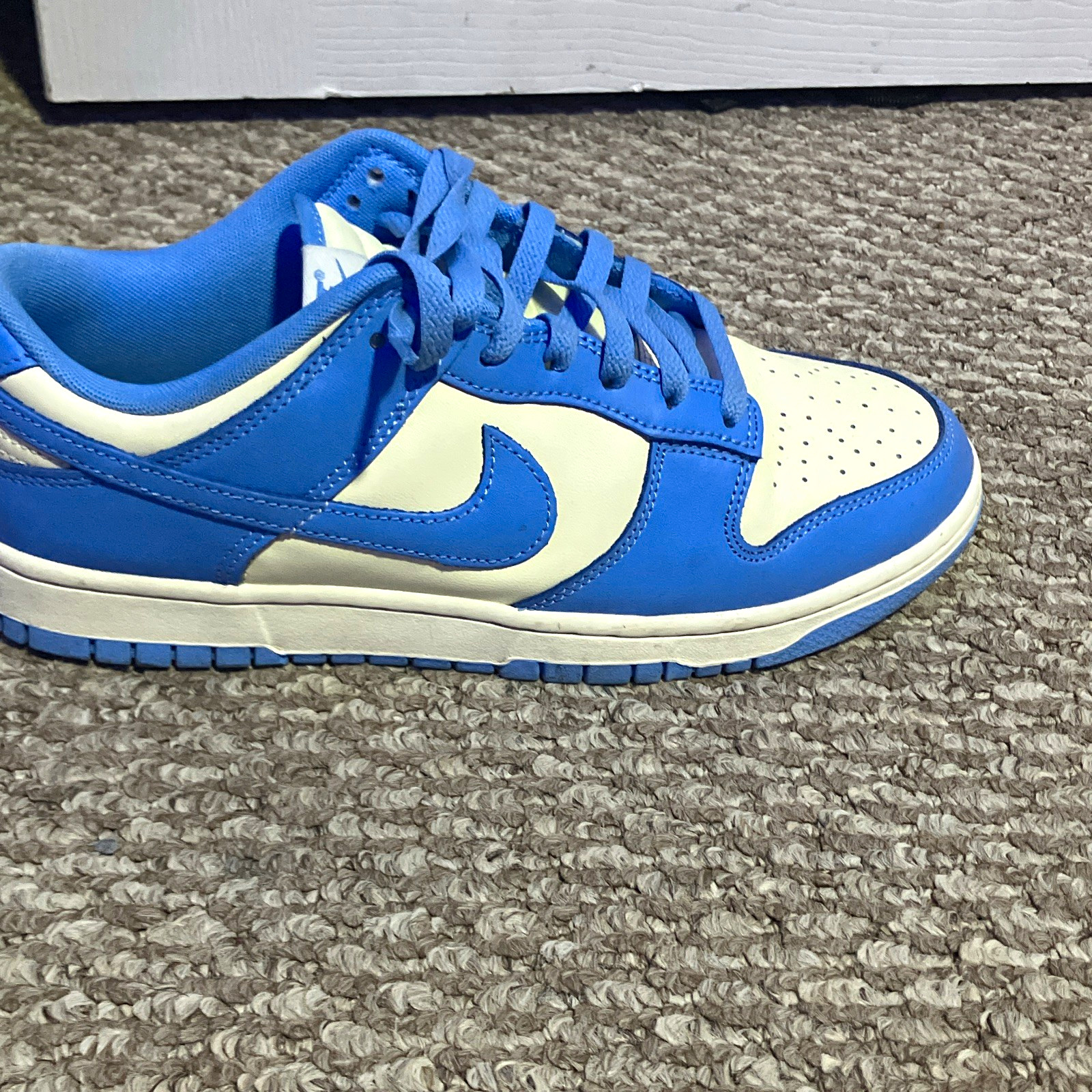 Nike Dunk Low Men’s Blue/White Colorblock Low Top Lace-Up Sneakers
