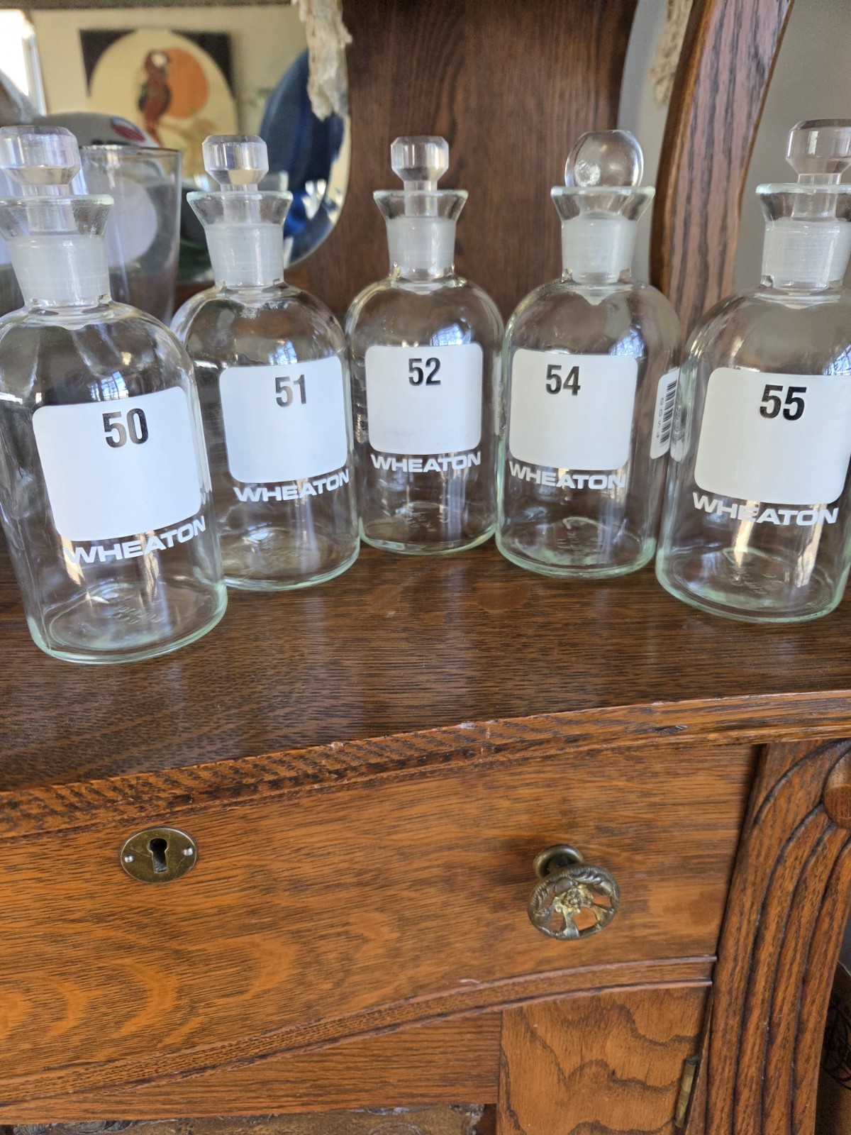 Wheaton Glass Apothecary Bottles with Stoppers - Laboratory Bottle Lot 5 Lab Jar