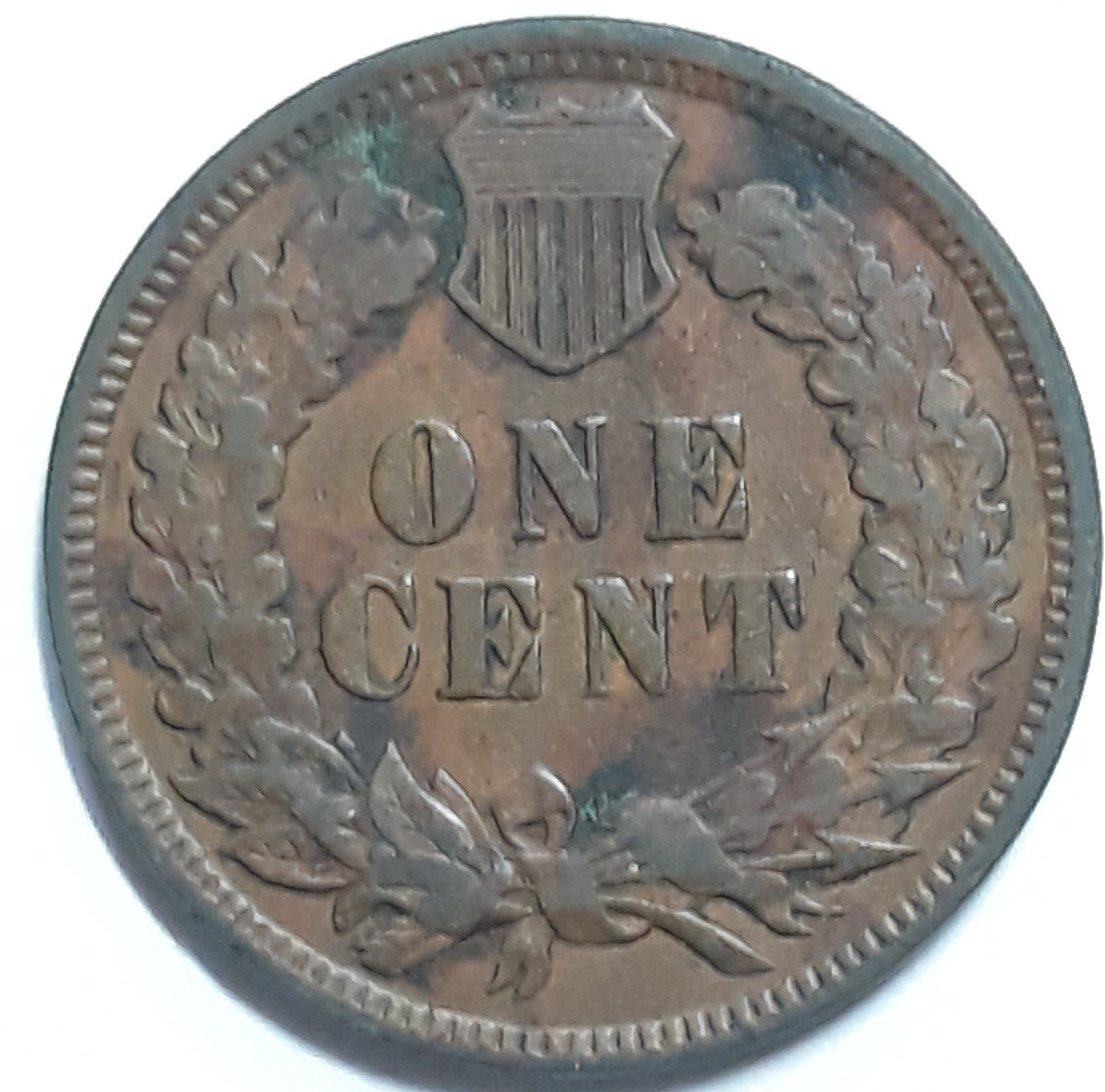 1899 Indian Head Cent